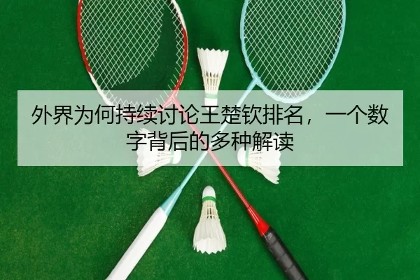 外界为何持续讨论王楚钦排名，一个数字背后的多种解读